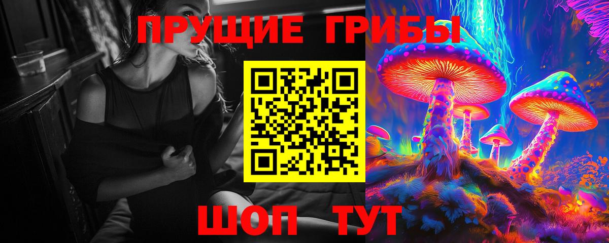 Галлюциногенные грибы Psilocybe Усолье-Сибирское